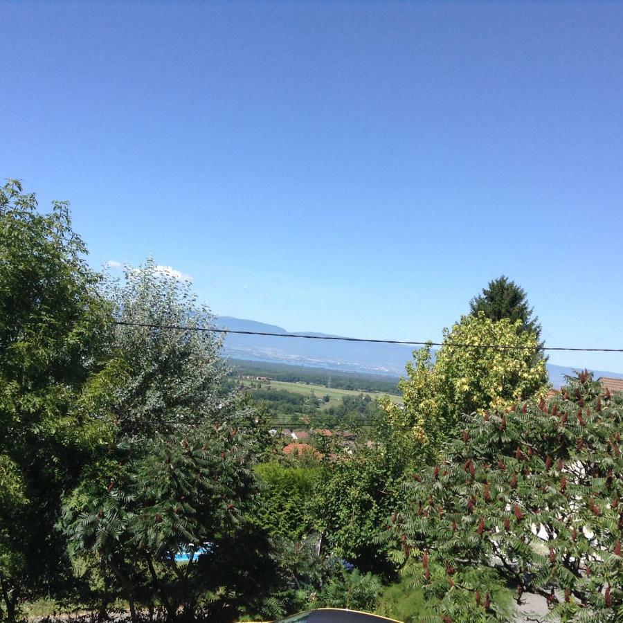 A Cote De Geneve 2 Apartment *